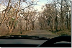 Sathyamangalam Wildlife Sanctuary - Most Haunted Places in India