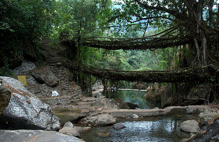 cherrapunji-rainfall