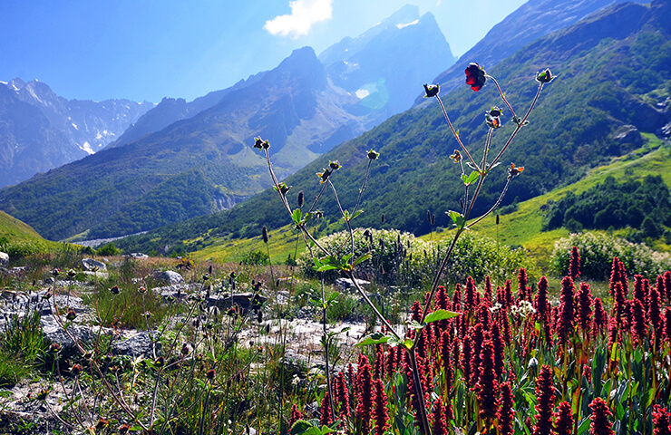 hemkund-valley-of-flower-trek-garhwal