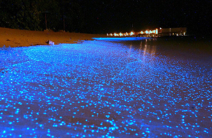 luminous-beach
