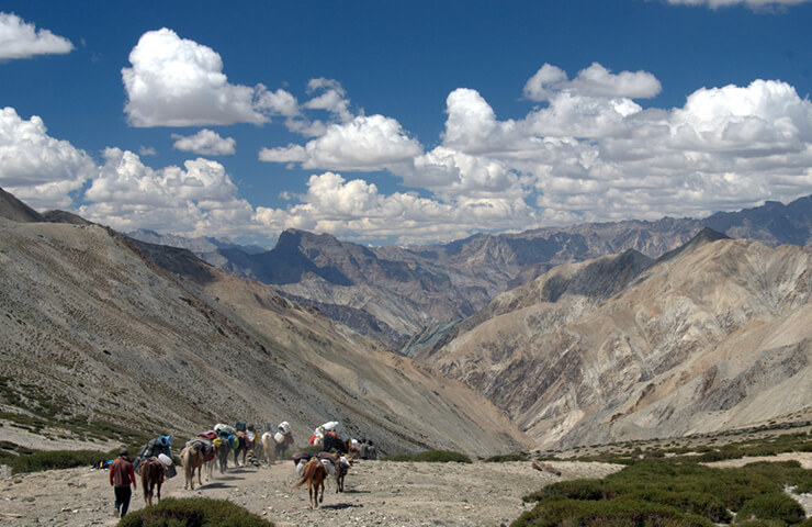 markha-valley-trek-ladakh