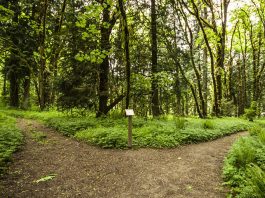 Top 10 Hiking Trails in India