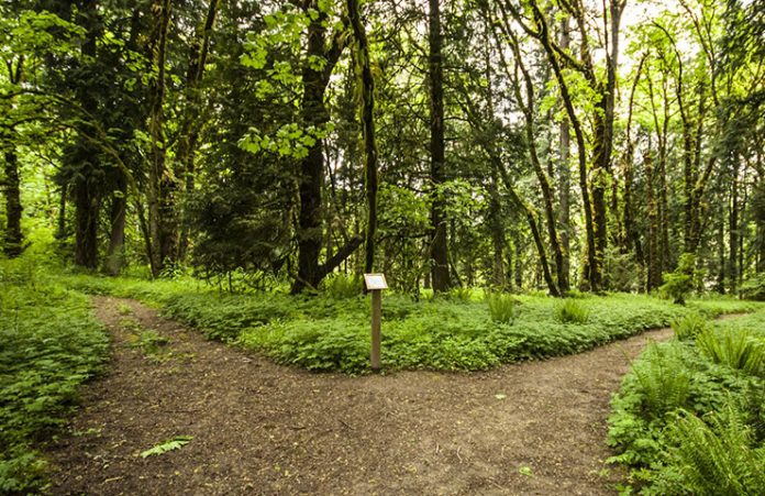 top-10-hiking-trails-in-india