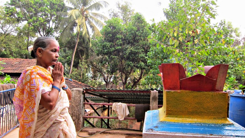 Tulsi-plant-in-front-of-his-her-house
