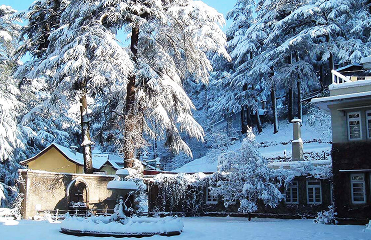 camp-potters-hill-shimla-1