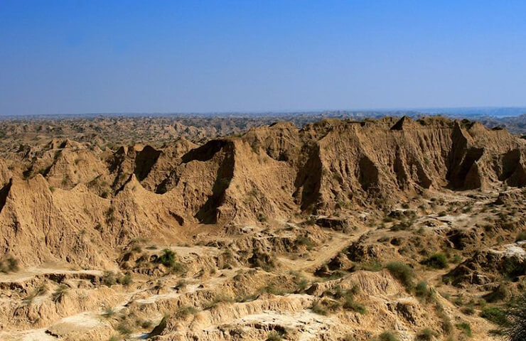 great-chambal-beehad