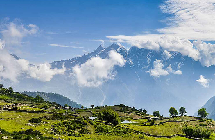 jungle-livinn-himachal-pradesh